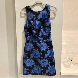 Alice and Olivia Blue Floral Winter Dress